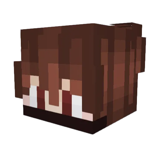 DFT8810 Minecraft avatar head, 3D render
