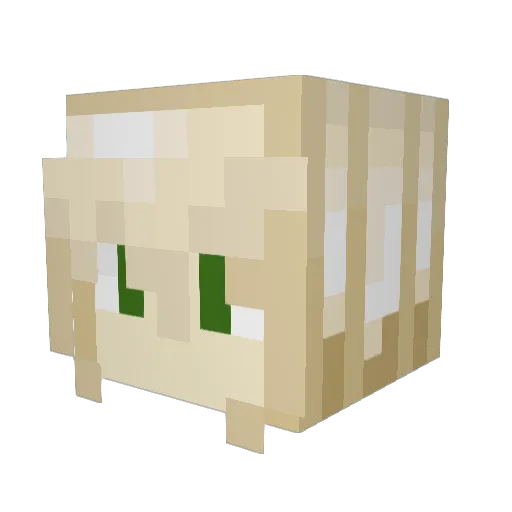 DF_17 Minecraft avatar head, 3D render