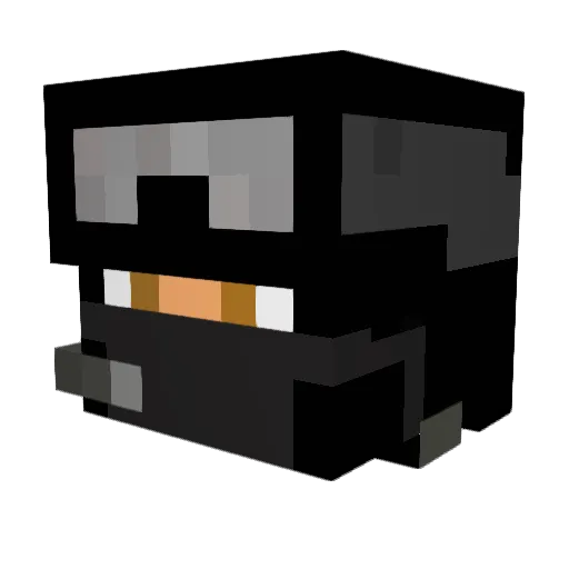 DF_60 Minecraft avatar head, 3D render