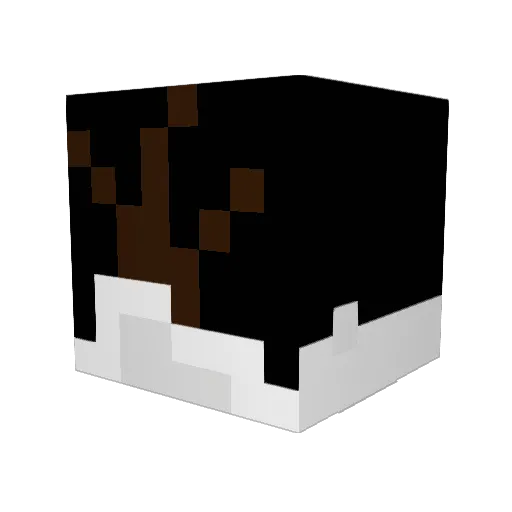 DG11x Minecraft avatar head, 3D render