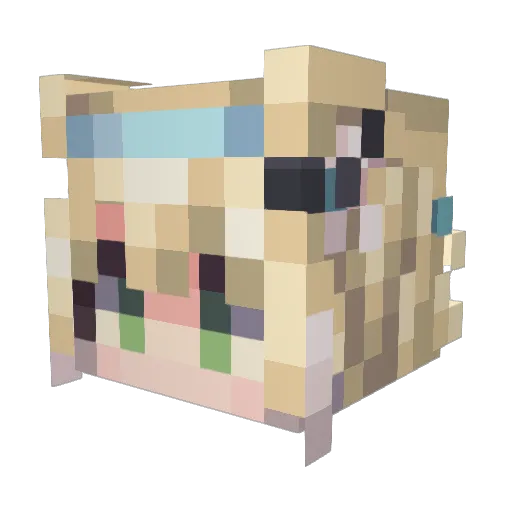 DGBCA Minecraft avatar head, 3D render