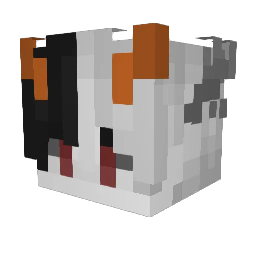 DGHunTer Minecraft avatar head, 3D render