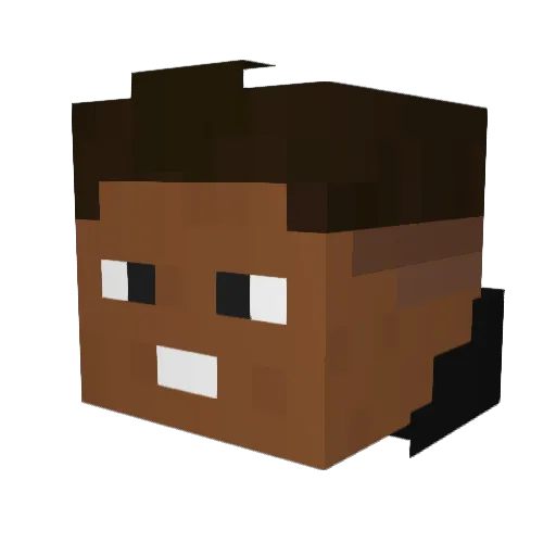DGS_Player Minecraft avatar head, 3D render
