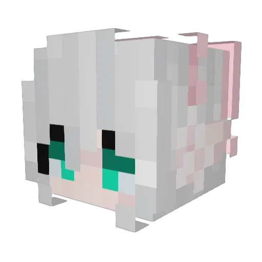 DGTH1 Minecraft avatar head, 3D render