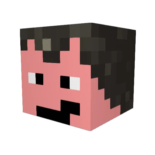 DG_2992 Minecraft avatar head, 3D render