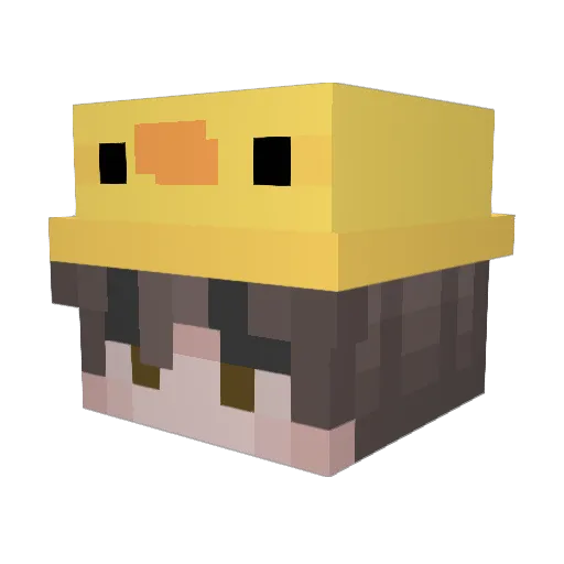 DG_kqu1d Minecraft avatar head, 3D render