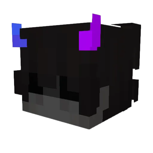 DGalaxyEnds Minecraft avatar head, 3D render