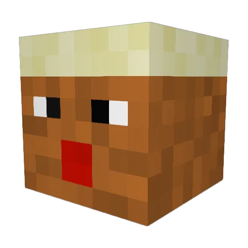 DGrizzly67 Minecraft avatar head, 3D render