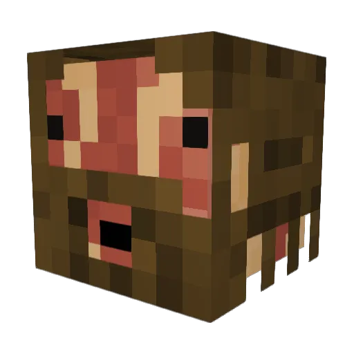 DH48RooVee Minecraft avatar head, 3D render