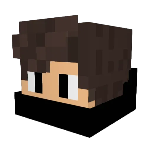 DHLifeKR Minecraft avatar head, 3D render