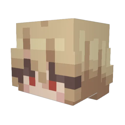 DHMHTHP Minecraft avatar head, 3D render