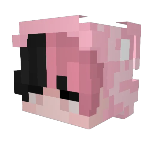 DIARYYYY Minecraft avatar head, 3D render