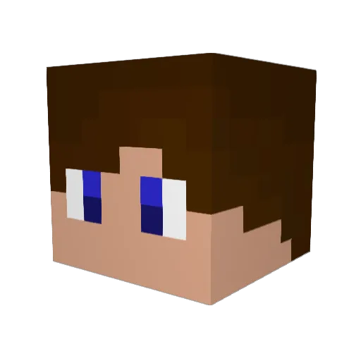 DICS0N_11 Minecraft avatar head, 3D render