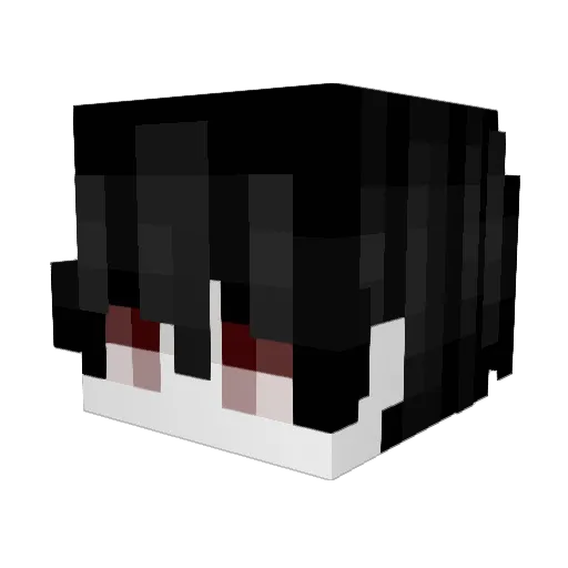 DIDDYDIDIT2 Minecraft avatar head, 3D render