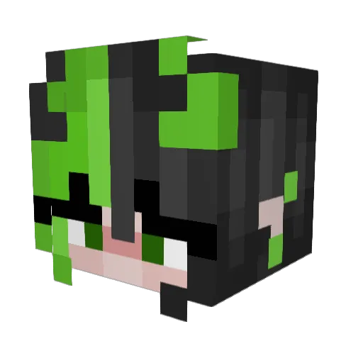 DIDDYKNG555 Minecraft avatar head, 3D render