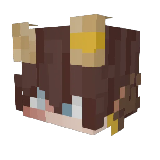 DIDSystem Minecraft avatar head, 3D render