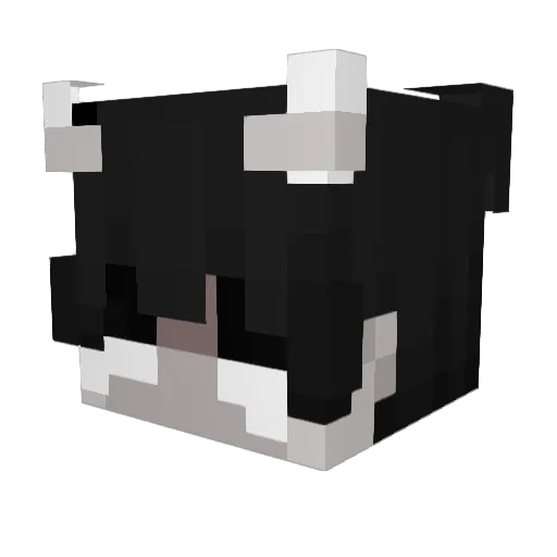 DIFinKey Minecraft avatar head, 3D render
