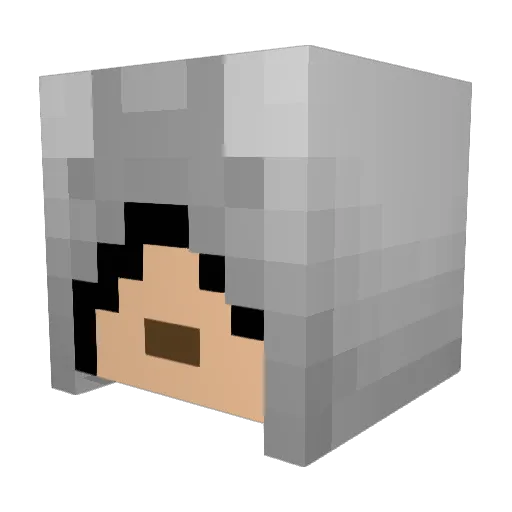DILLON407 Minecraft avatar head, 3D render