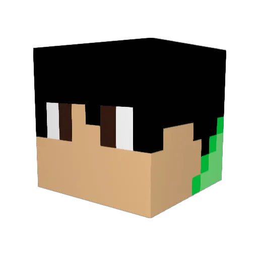 DILOGER Minecraft avatar head, 3D render