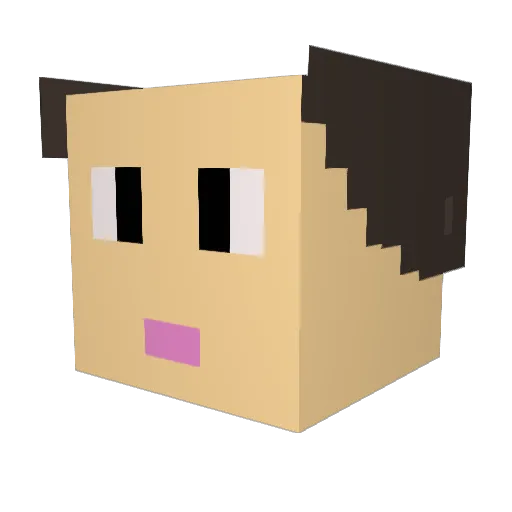 DIMSS Minecraft avatar head, 3D render
