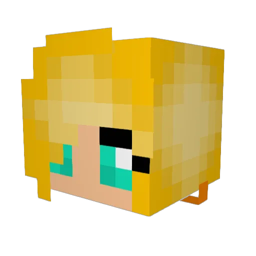 DIM_MAK Minecraft avatar head, 3D render