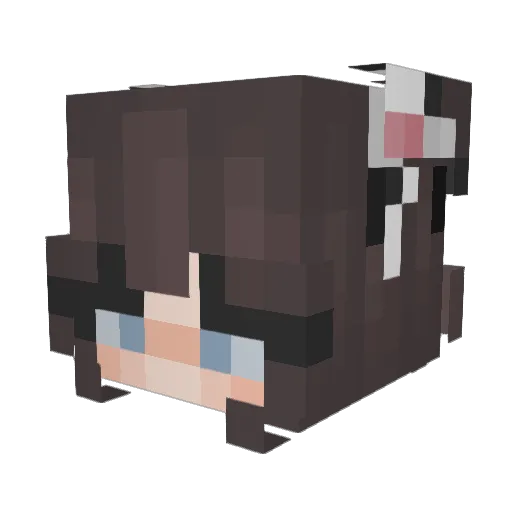 DINDIN10 Minecraft avatar head, 3D render