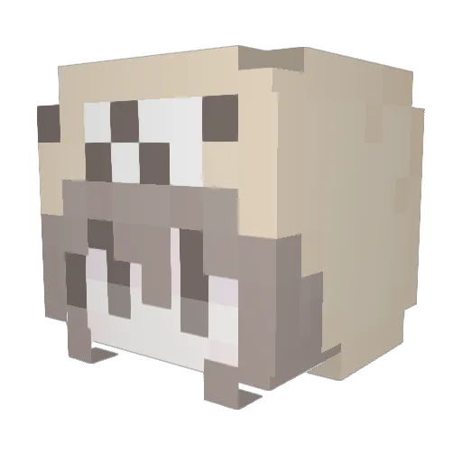 DINGJIAN47 Minecraft avatar head, 3D render