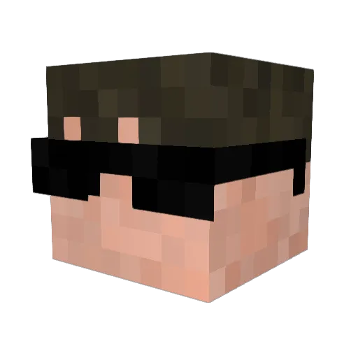 DINIS_43 Minecraft avatar head, 3D render