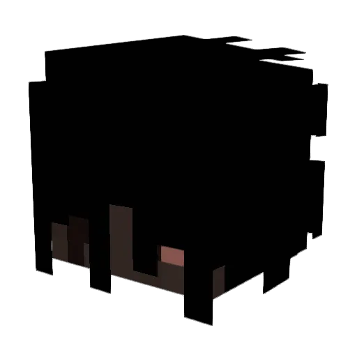 DIPWR Minecraft avatar head, 3D render