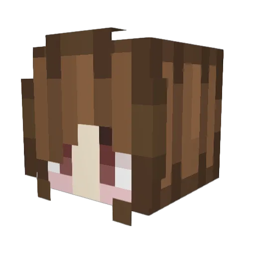 DISMALNEBULA191 Minecraft avatar head, 3D render