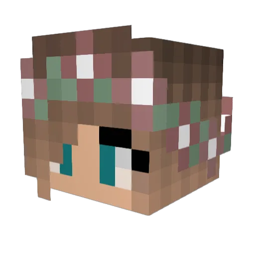 DISNEYpotter1 Minecraft avatar head, 3D render