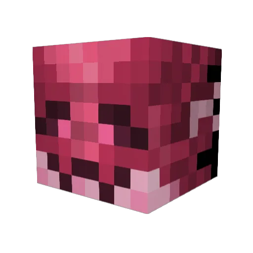 DISSENT3R Minecraft avatar head, 3D render