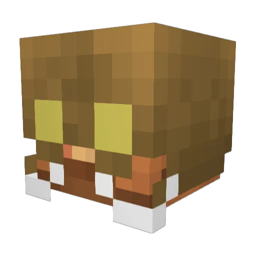 DIVOMC Minecraft avatar head, 3D render