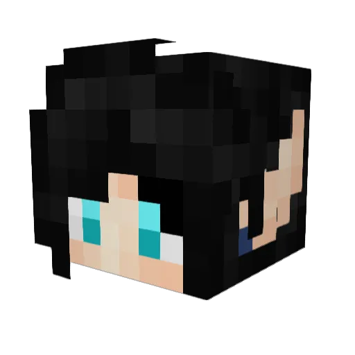 DIYWNB Minecraft avatar head, 3D render