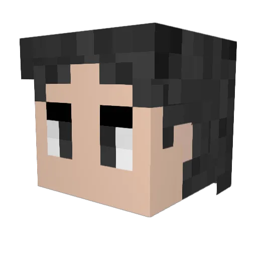DIY_Guy Minecraft avatar head, 3D render