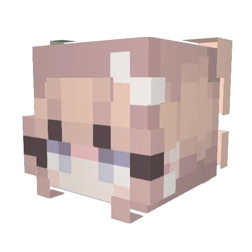 DIamondDucky45 Minecraft avatar head, 3D render