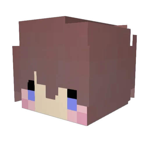 DJ0702_TW Minecraft avatar head, 3D render