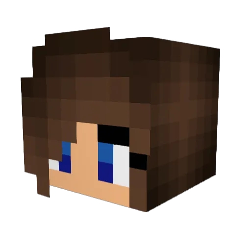 DJ2215 Minecraft avatar head, 3D render