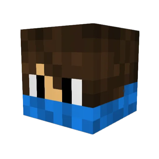DJ9999999 Minecraft avatar head, 3D render