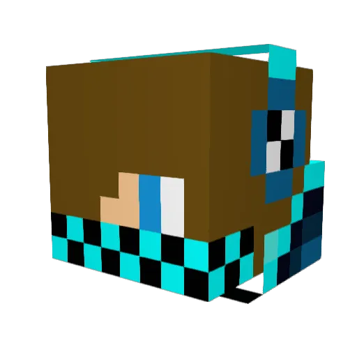 DJAL135 Minecraft avatar head, 3D render