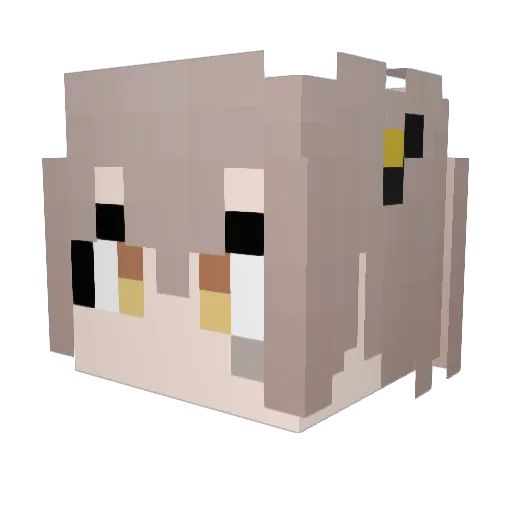 DJAndrewz Minecraft avatar head, 3D render