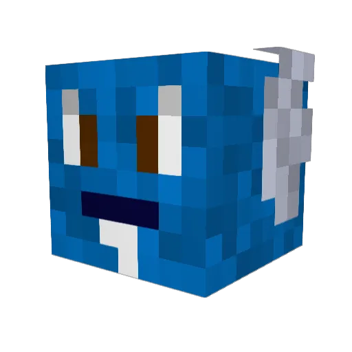 DJBernie11 Minecraft avatar head, 3D render