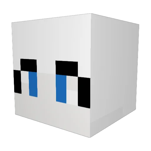 DJDWS Minecraft avatar head, 3D render
