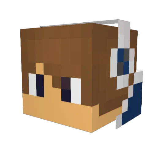 DJDestroyer2662 Minecraft avatar head, 3D render