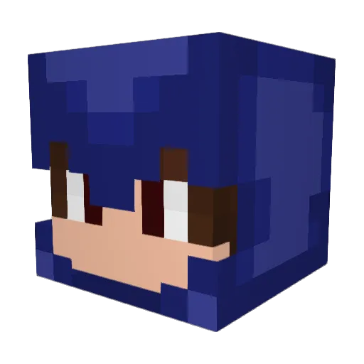 DJDog224 Minecraft avatar head, 3D render