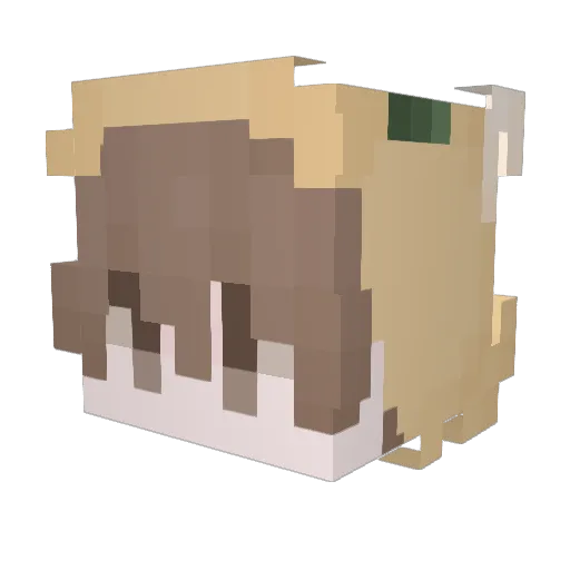 DJDominater Minecraft avatar head, 3D render