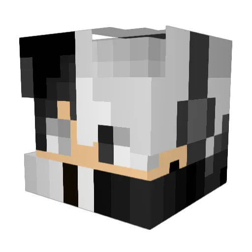 DJFlurry07 Minecraft avatar head, 3D render