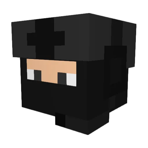 DJFranklin1776 Minecraft avatar head, 3D render