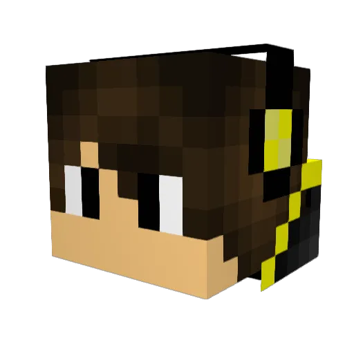DJFunkyFlava Minecraft avatar head, 3D render
