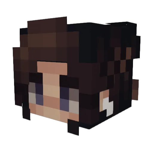 DJGOTCHA Minecraft avatar head, 3D render